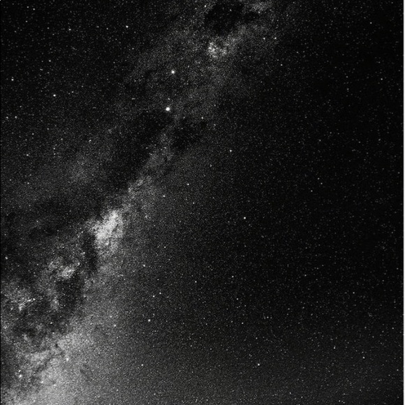 Meet your Posher, Tessa - Picture 1 of 1